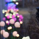 대송공원 | 울산 울주 가볼만한 곳｜간절곶 여행 후기