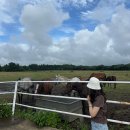 팜팜스테이 이미지