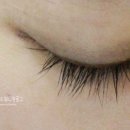 아라프레소 이미지
