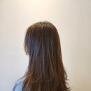 아코하롬헤어양주 이미지
