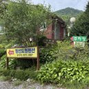 더좋은펜션캠핑장 | 강원도 정선 펜션 계곡 코앞인 도원펜션 캠핑장