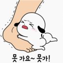 김동물병원 이미지