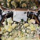 진영큐어 | 창원 마산 진해 트렁크 자동차프로포즈 GV80 생화 프로포즈 이벤트 봉봉플라워 !