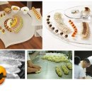 하단동050 이미지