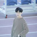 진영 이미지