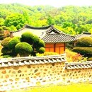 김정선생묘소일원 이미지