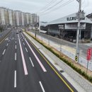 황금빛 가로수길 이미지