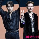 도마비투비
