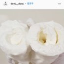 딥블랑 이미지