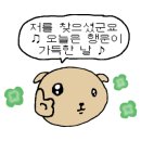 아이피아안경 이미지