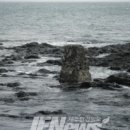 삼달2리 이미지