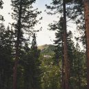 여송지성 이미지