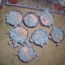 호남농장 이미지