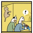 (주) 시럽