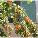 청송중학교 이미지