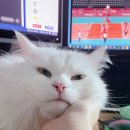 놀아줘 - 영등포구 선유동1로 6-7 | 놀아줘