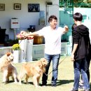 반려동물 펫시터 자격증 과정 이미지