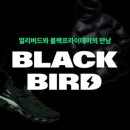 블랙버드 이미지
