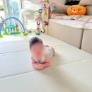 크림집 | 코스트코 크림하우스 논슬립 프리 폴더매트 고양이 키우는집 후기