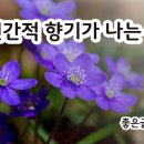마음향기 시낭송 이미지