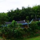 곡성-134 이미지