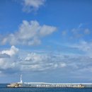 당포민박 | 제주 여행 기록 : 고흐의 정원 / 토끼 나무숲 / 세계조가비 박물관 / 웨이브 버거 / 라듸오 / 스테이안