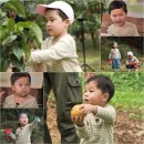 정우농장2 이미지