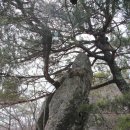 삼포주유소 이미지