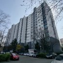 강남1984 이미지