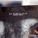 모모맘마 이미지