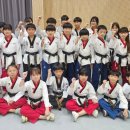 용인대 최강 태권도 도장 네이버블로그