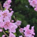 하늘뜰 농장 이미지