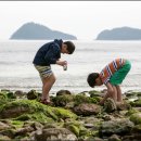 하루하루 이로코롬