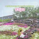 꽃향기 가득 천 채색화 | 경남 가볼만한곳 꽃잔디로 유명한 산청 대명사 핑크빛 사찰에 반한 것 같아요