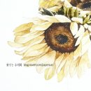 수채화 일러스트 이미지