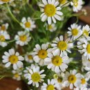 윤부자공인중개사사무소 이미지