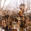 계룡산등산로(절) 이미지