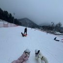 지산스쿨 이미지