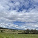 세레나농장 이미지