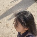 Suzy in Paris, Finally.[CROUS BERTELOTTE후기/ 파리에서 살아남기 - 마트, 이케아/ 꿀팁앱!]