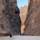 Mountain World | 🇯🇴 요르단 여행 | 페트라 1박2일 동안 3번 간 후기 (나이트페트라, 백도어트래킹)