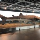 명륜로129번길 이미지