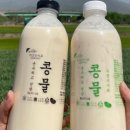 순수하고진한콩물 이미지