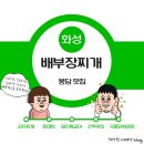 배부장찌개