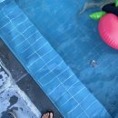 자은의 언덕 이미지