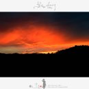 도화동산 이미지