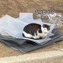 서울방충망금천 이미지
