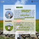 마라도협동조합 | 제주워홀로 즐기는 로컬생활 3기 모집 &#34;제주, 한 달은 좀 길고 2주만 살아볼까?&#34;