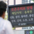 녹색주의보 이미지