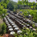 다솔관광농원 이미지